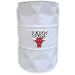 Chicago Bulls Logo Imprim (Thumb)